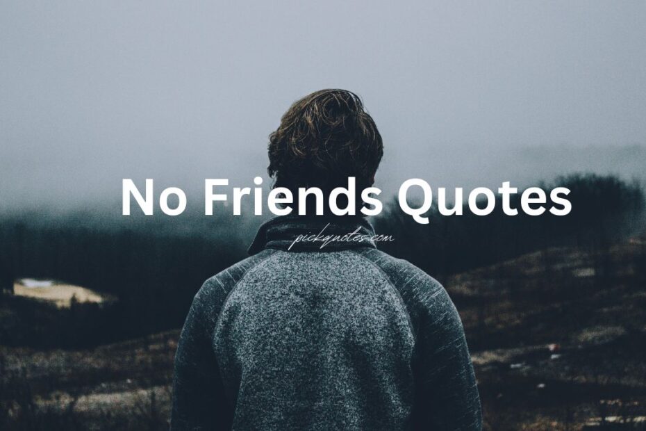 No Friends Quotes